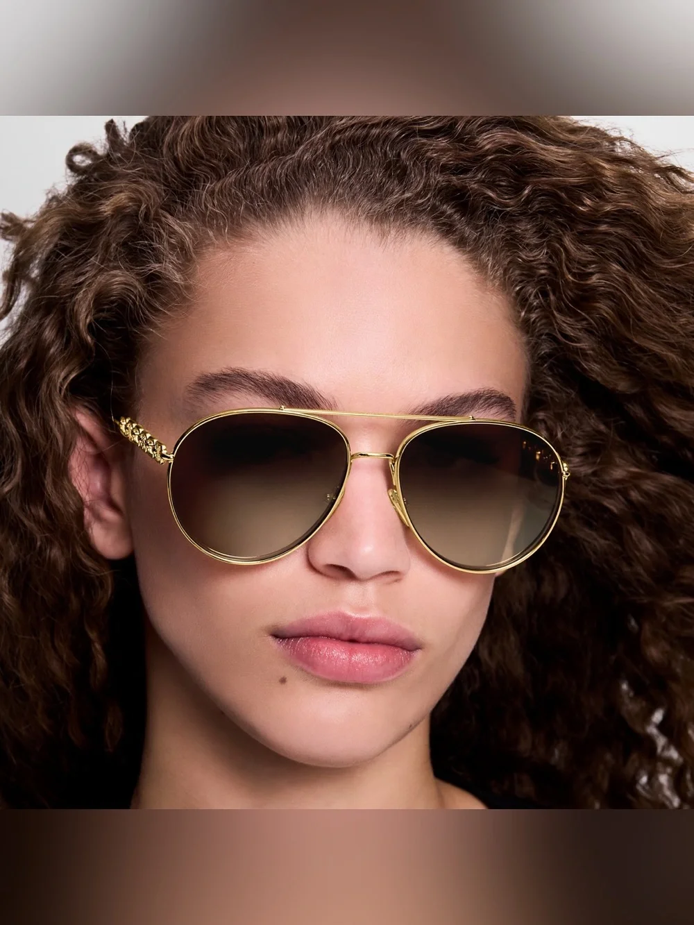 Louis Vuitton classic louis